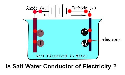Can Salt Water Produce Electricity? 