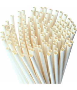 8" White Paper Straws - 5.5mm OD - 500/pkg - Cat# 19-1270