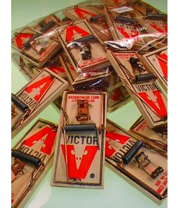 Mousetraps - Bulk - Cat# 19-20-541
