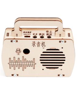 Radio Receiver Kit - Cat# 80-50-W263