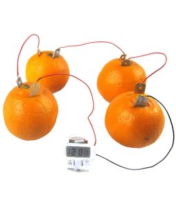 Experimental Fruit Battery Kit with Clock - Cat# 80-50-W274