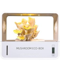 Mushroom Monotub Growing Kit - Cat# 80-50-W196