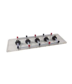 Series & Parallel Bulb Holder - Cat# 8035211805