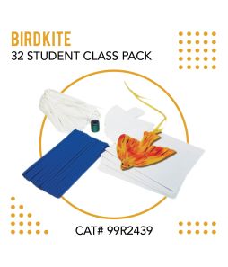 Bird Kite 32 Student Class Pack - Cat# 99-R2439