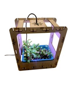 Farm In A Box Grow Kit - Cat# FIAB-BK001 