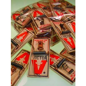 Mousetraps - Bulk - Cat# 19-20-541