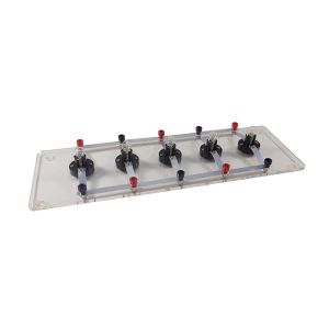 Series & Parallel Bulb Holder - Cat# 8035211805