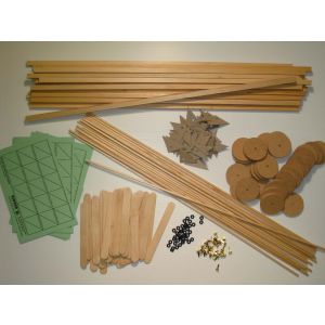 Scarab Car Kit - 25 Student Class Pack - Cat# 83-5424-00